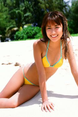 汪汪队立大功