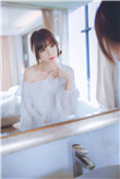 精武飞鸿