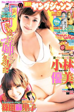 雷电将军突破材料