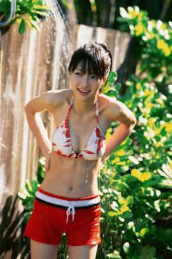 避难所生存