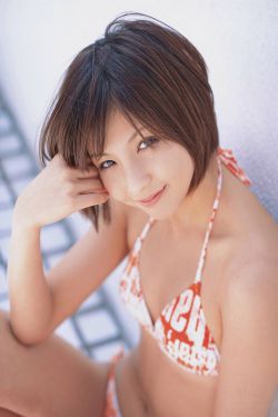 新农夫导航
