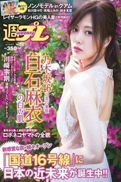 黑狐之风影 电视剧